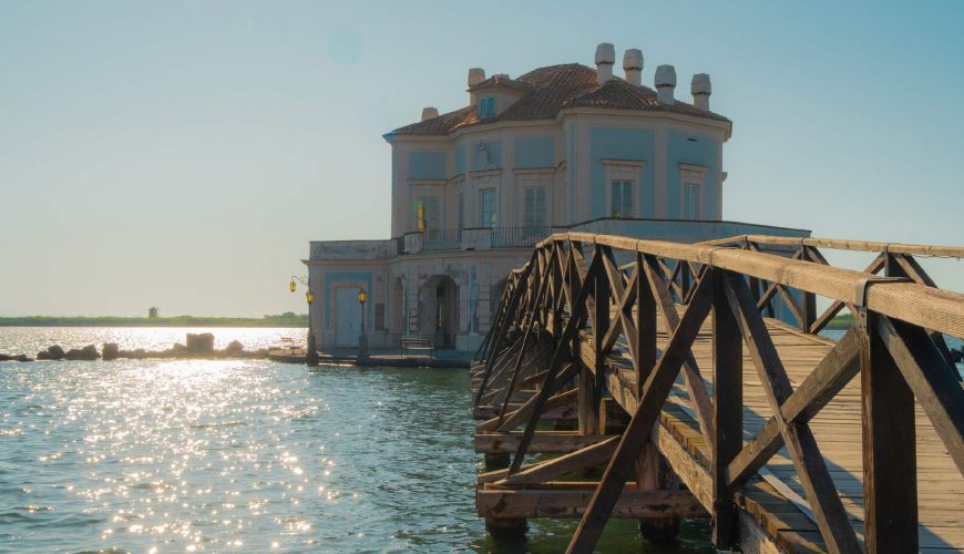 Amplify your travel experience