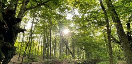 Amplify your travel experience