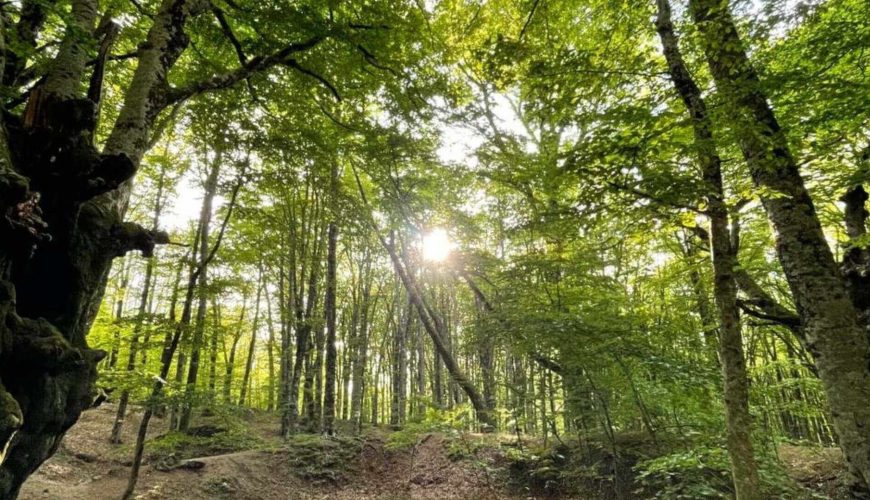 Amplify your travel experience