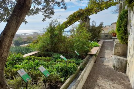 Walking Tour di Salerno con Guida e Ingresso al Giardino della Minerva