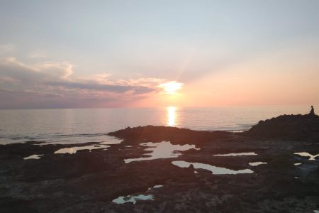 <noscript><img decoding=