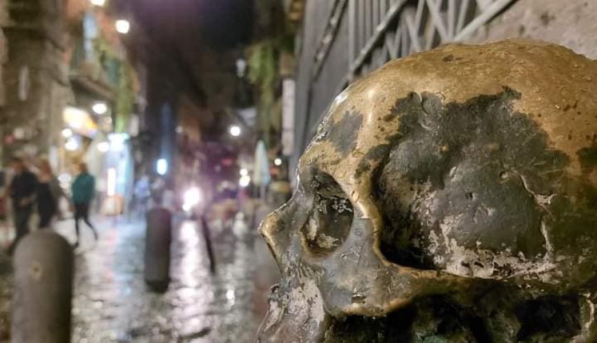 Amplify your travel experience