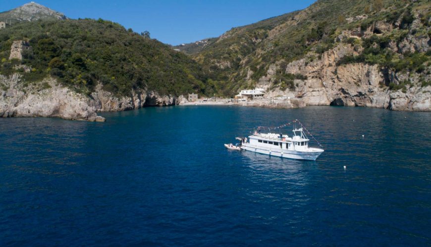 Amplify your travel experience