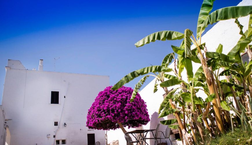 Amplify your travel experience