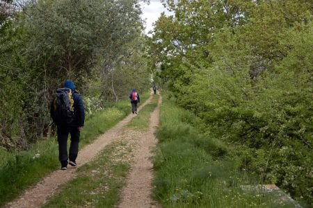 Promenade avec itinéraire de dégustation à Altamura pour découvrir les beautés naturelles de l'Alta Murgia