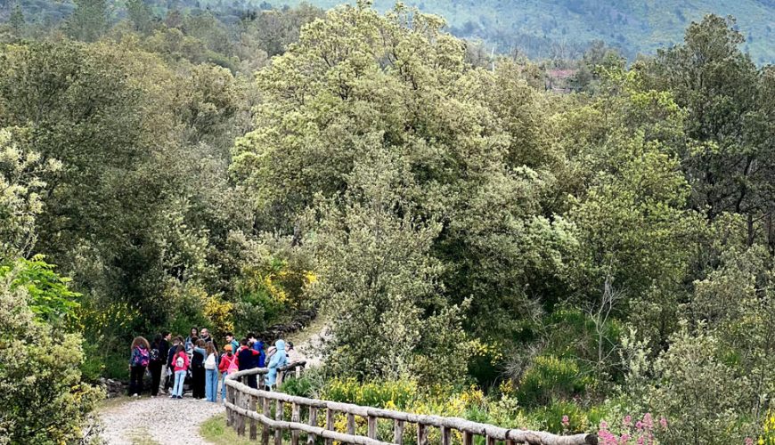 Amplify your travel experience