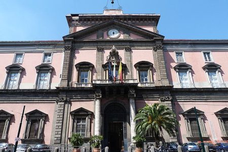 Guided tour of the National Archaeological Museum in Naples
