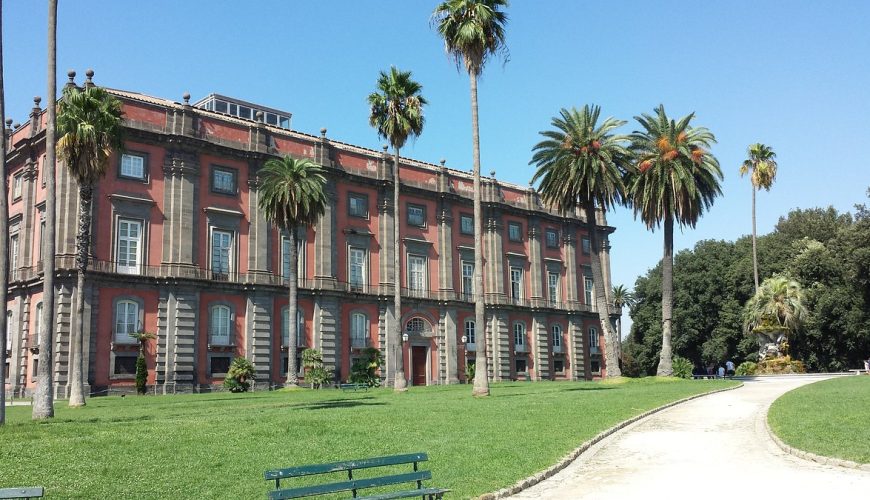 Amplifica la tua esperienza di viaggio