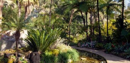 Amplify your travel experience