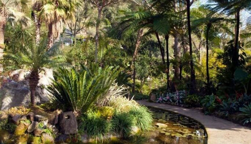 Amplifica la tua esperienza di viaggio