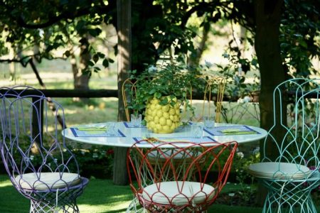 Tour dei Limoni di Sorrento: Sapori e Tradizione con Pranzo o Cena