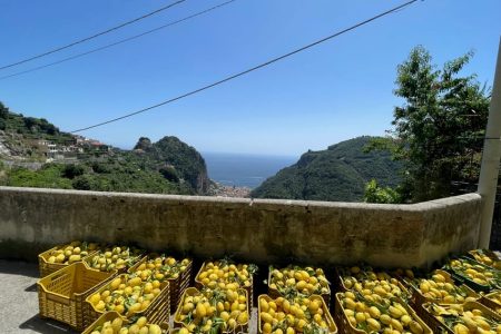 Escursione sul Sentiero dei Limoni: Scoperta della Costiera Amalfitana per Scuole e Gruppi Condivisi