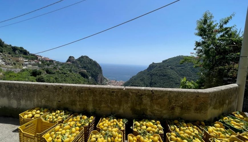 Amplify your travel experience