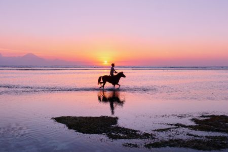 Passeggiata a cavallo sul mare di Fasano da vivere al tramonto