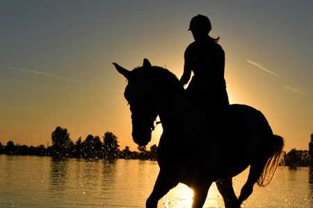 Tour a cavallo tra le dune e la selva di Cuma (sabato e domenica)