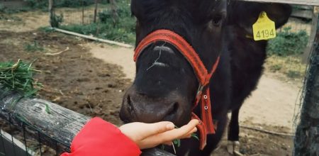 Amplifiez votre expérience de voyage