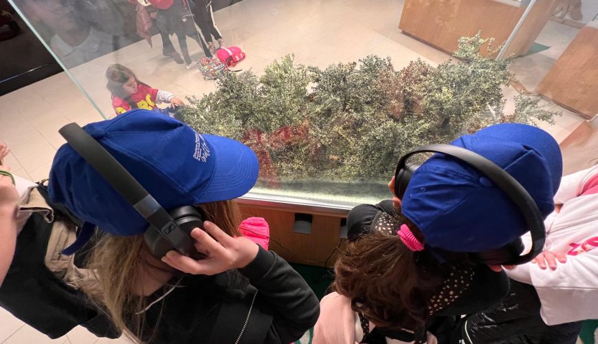 Amplifiez votre expérience de voyage