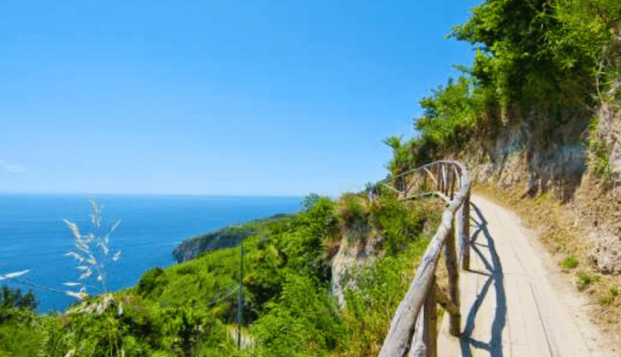 Amplify your travel experience