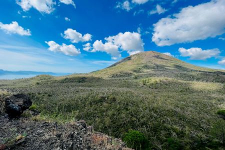 Percorso Vesuvio: tour guidato in vigna a Boscotrecase con degustazione di vini e prodotti locali