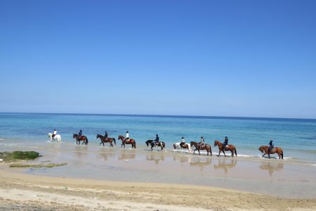 Randonnée à cheval à Ostuni, au cœur des Pouilles