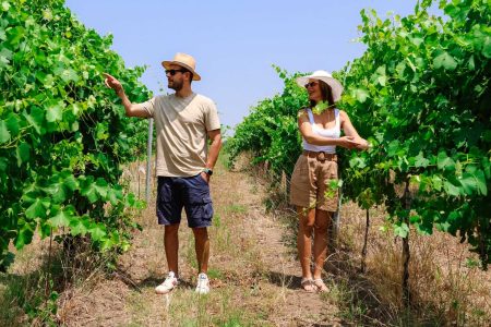 <noscript><img decoding=