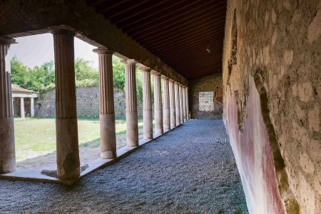 Escursione con biglietto e audioguida alle rovine di Oplontis